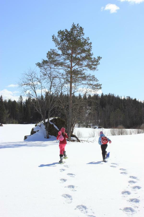 Menninkaeinen Cottage Rutalahti Dış mekan fotoğraf