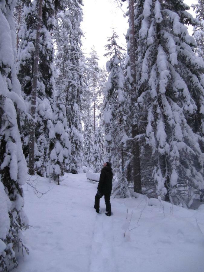 Menninkaeinen Cottage Rutalahti Dış mekan fotoğraf
